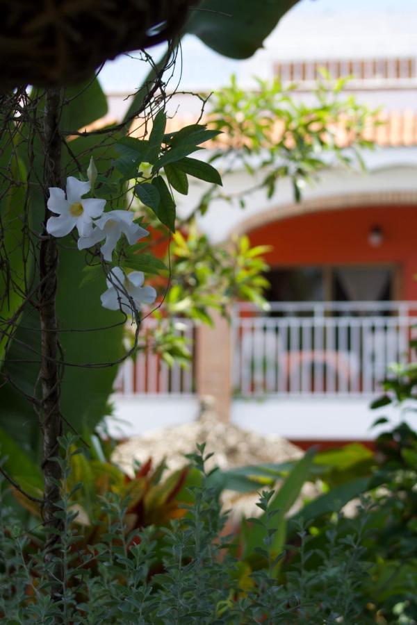 Bungalows Las Tortugas Lo de Marcos Exterior foto